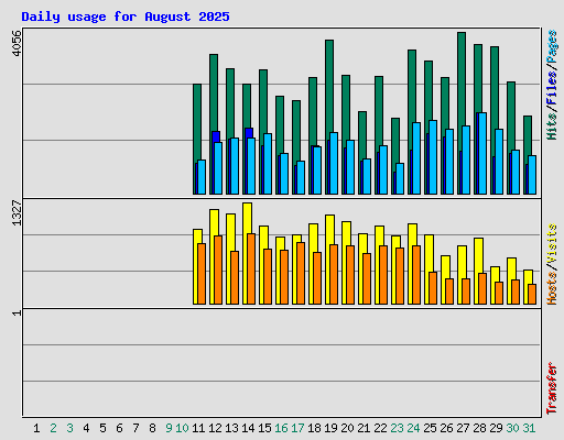 Daily usage for August 2025