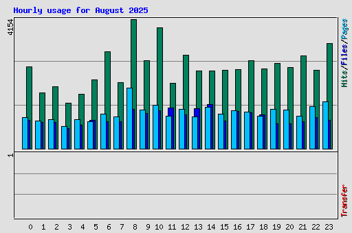 Hourly usage for August 2025